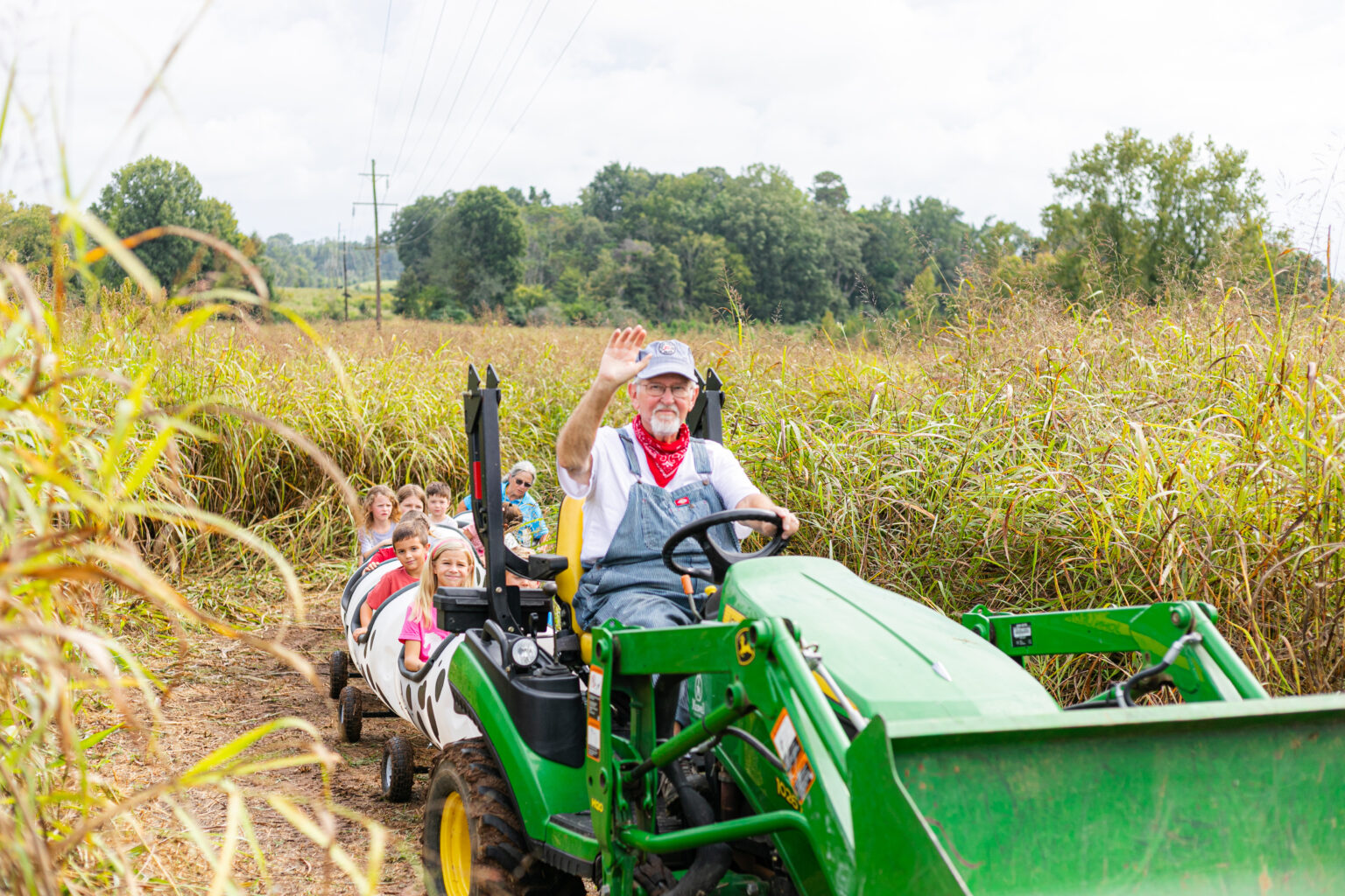 Maxmar Farm Busy Corn Maze and Fall Concert Paves the Way for Reimagining Maxwell ...
